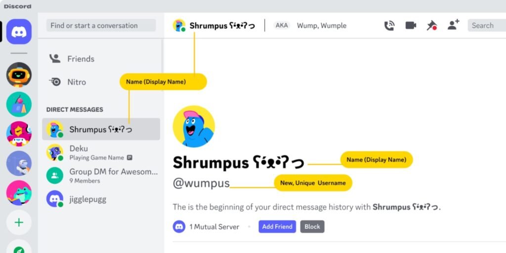 Telegram Username Vs Display Name