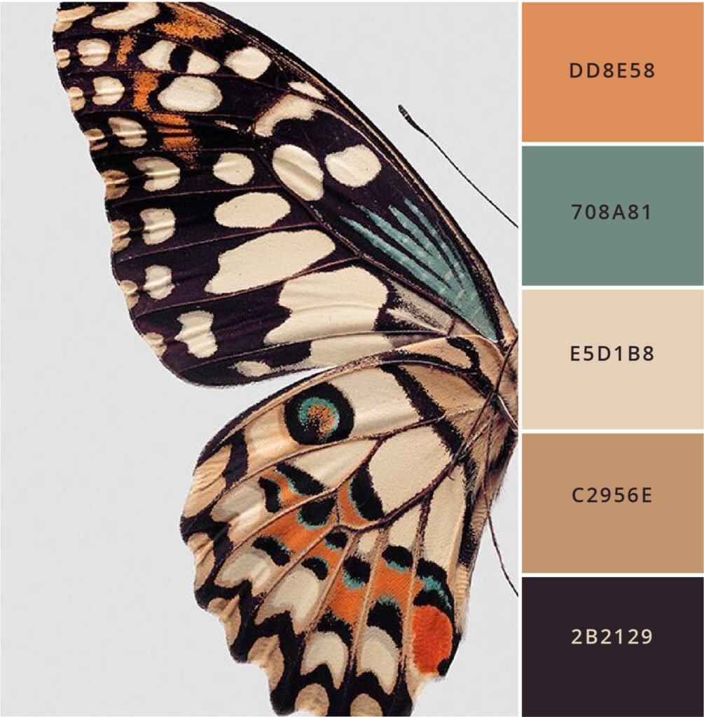 12 Aesthetic Color Palette For New Brand Design: Aesthetic Hex Codes